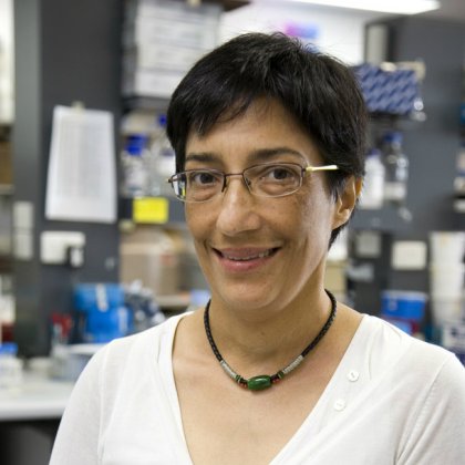 Professor Ranjeny Thomas