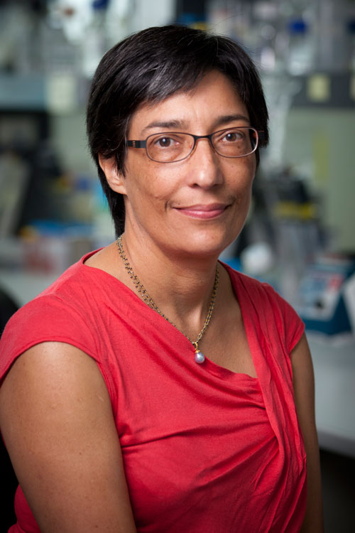 Professor Ranjeny Thomas