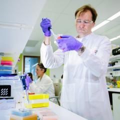 Researchers show growth hormone signalling increases cancer risk