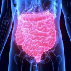 Gut reaction linked to type 1 diabetes