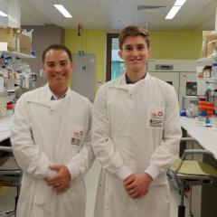 Researchers show stress suppresses response to cancer treatments