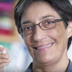 UQ collaborates with MSD to develop immuno-oncology therapies