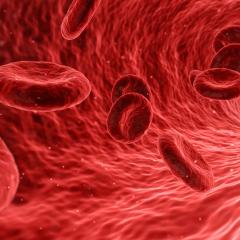 Research opens possibilities for new cancer immunotherapies