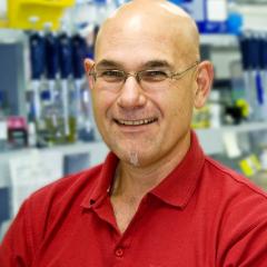 Associate Professor Gabrielli 