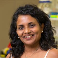 Dr Chamindie Punyadeera
