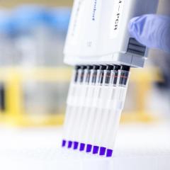 NHMRC awards $5.44 million to UQDI research