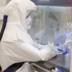 UQ research hones in on new TB drugs