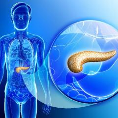 Pancreas