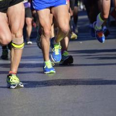 Researchers join force with the Australian Institute of Sport