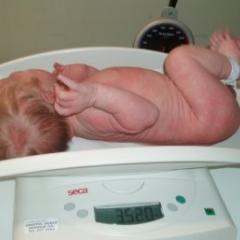 Genes can help explain why some babies have a low birth weight