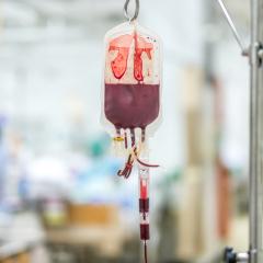 What can go wrong in the blood?