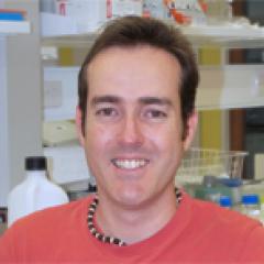 Professor David Evans