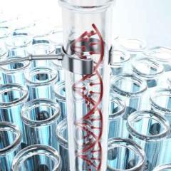 New blood test detects non-Hodgkin lymphoma