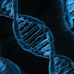 A promising new advance in gene therapy