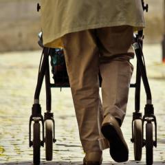 Largest ever genetic study marks likely osteoporosis treatment target