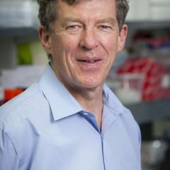 Professor Ian Frazer named a Councillor for the Australian Academy of Science