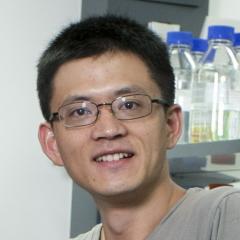 Dr Jian Yang