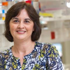 Dr Liliana Endo-Munoz