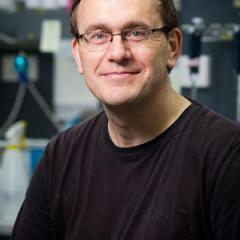 Professor Peter Visscher