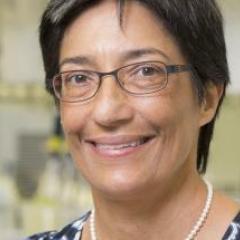 Professor Ranjeny Thomas