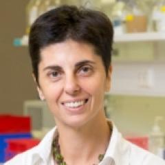 Dr Roberta Mazzieri