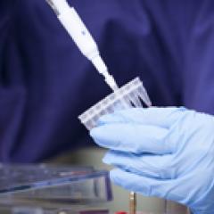 Hope for prevention of herpes through new vaccine