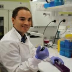 Dr Stephen Mattarollo