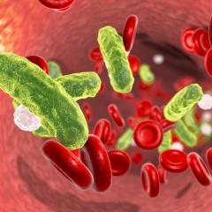 ‘Bad’ antibodies let blood infections rage