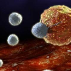 Technology holds personalised cancer vaccine breakthrough