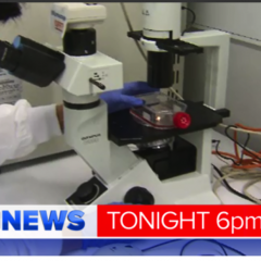 Nine News features promising new breast cancer research