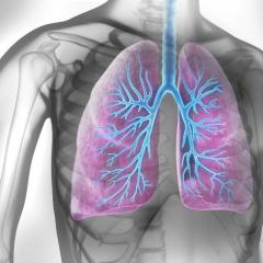 Research looks to stop allergic asthma at the source